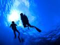 Diving tour from Split