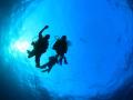 Diving tour from Split