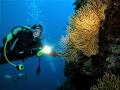 Diving tour from Split